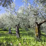Alloggio per agriturismo Le Mandrie Di San Paolo *