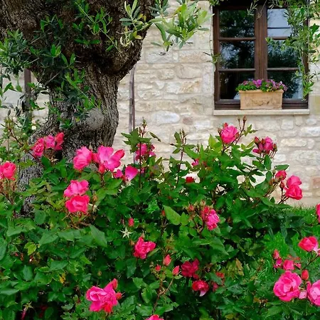 Farma Le Mandrie Di San Paolo