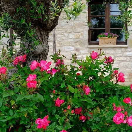 Farm stay Le Mandrie Di San Paolo