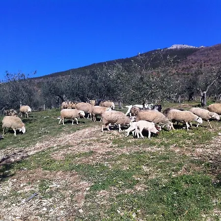 Le Mandrie Di San Paolo Asís