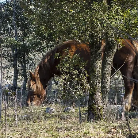 Le Mandrie Di San Paolo Farm stay *