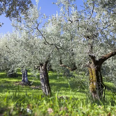 Farm stay Le Mandrie Di San Paolo *
