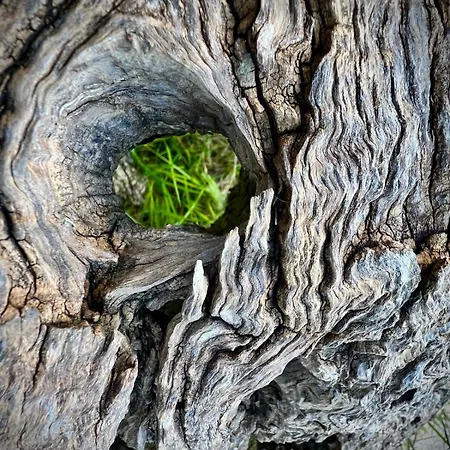 Le Mandrie Di San Paolo