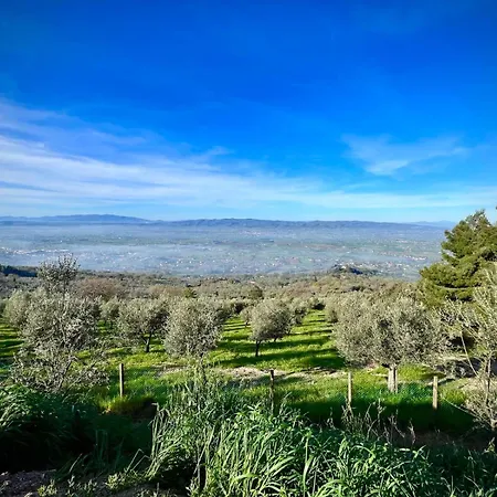 Farm stay Le Mandrie Di San Paolo