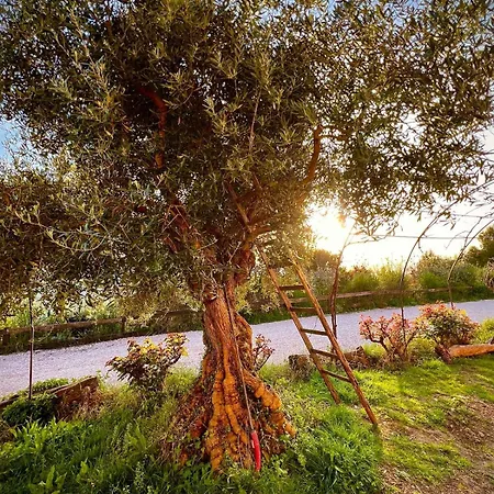 Le Mandrie Di San Paolo Farm stay Assisi