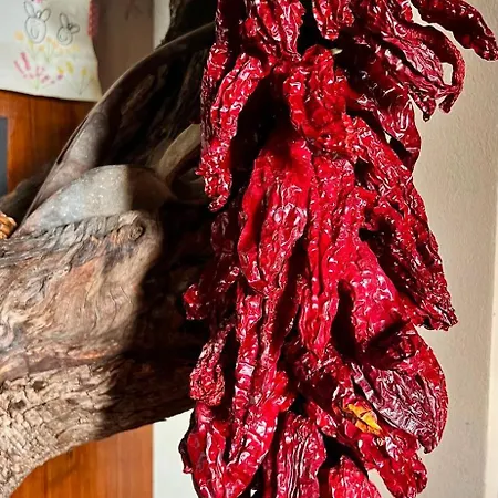 Le Mandrie Di San Paolo Farm stay Assisi