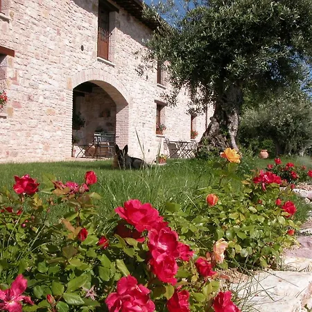 Le Mandrie Di San Paolo Assisi