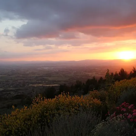Farma Le Mandrie Di San Paolo Assisi