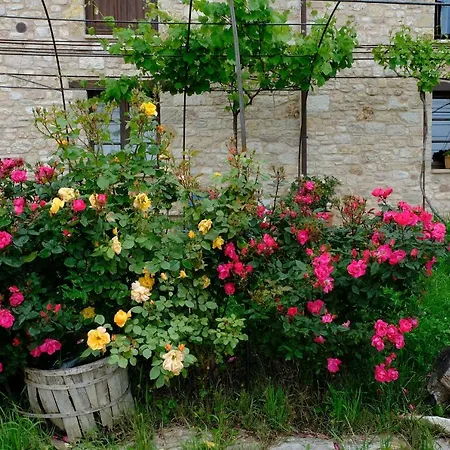 Farm stay Le Mandrie Di San Paolo *